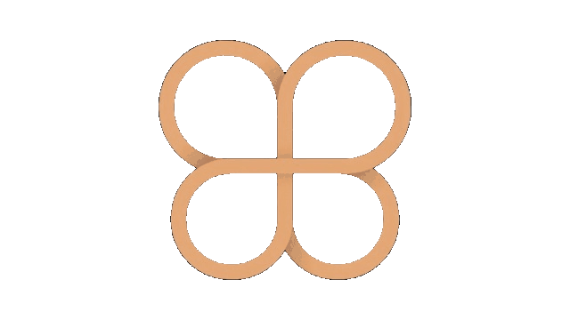 RIJI Health Logo